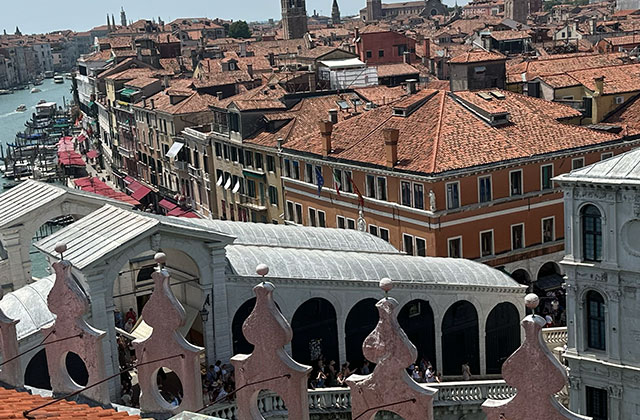 Rialto Bridge and rooftops, Venice